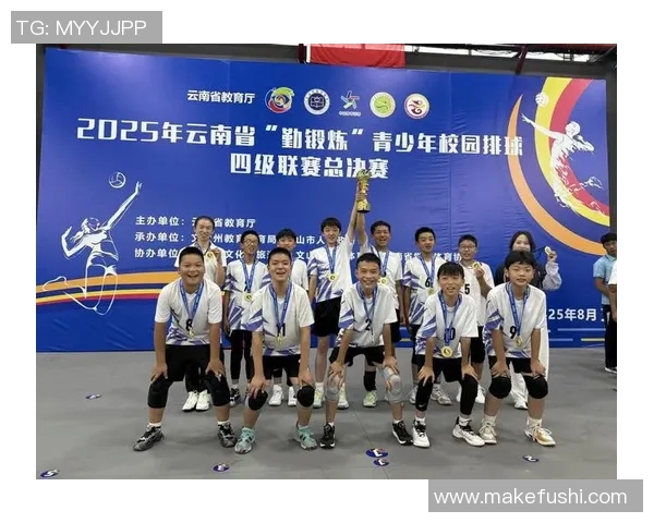 武汉排球队的拼搏之路：城市联赛背后的奋斗故事与荣耀时刻